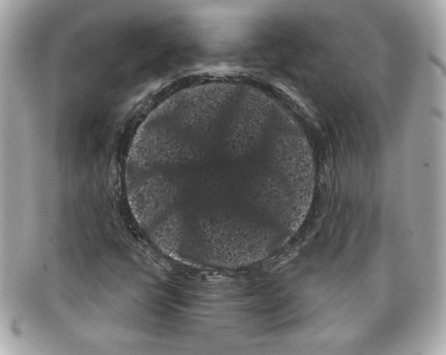 X0000097951398200804211024