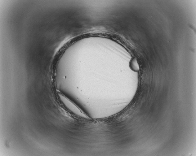 X0000097951400200804211024