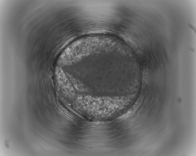 X0000097951401200804211024