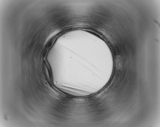 X0000097951402200804211024