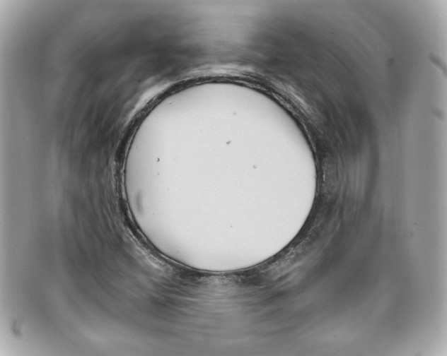 X0000097951404200804211024