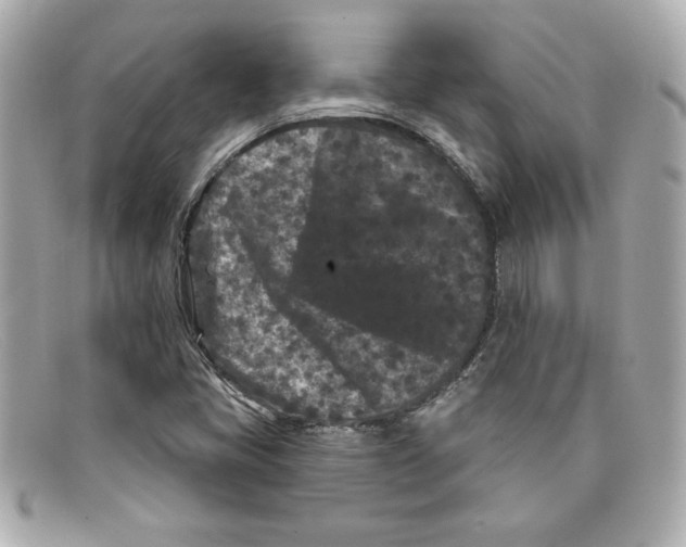 X0000097951405200804211024