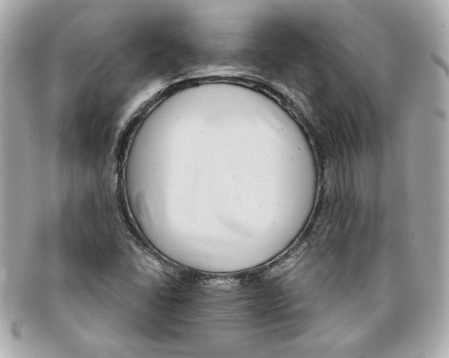X0000097951406200804211024