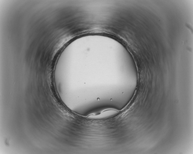 X0000097951410200804211024