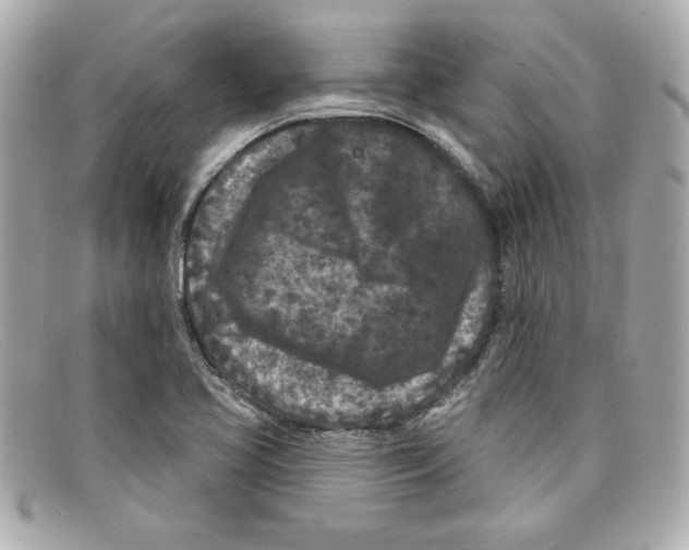 X0000097951413200804211024