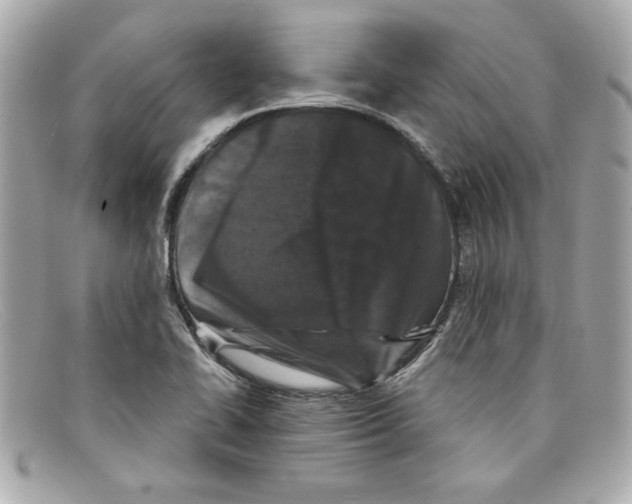 X0000097951414200804211024
