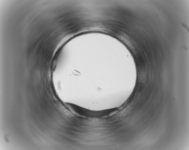 X0000097951420200804211024