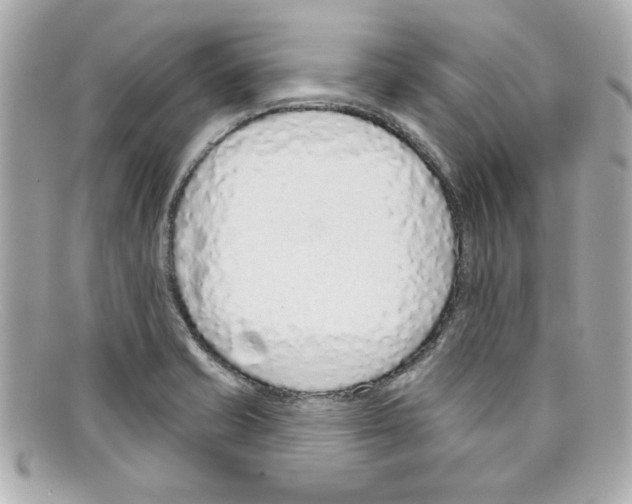 X0000097951421200804211024