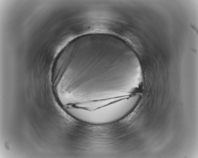 X0000097951422200804211024