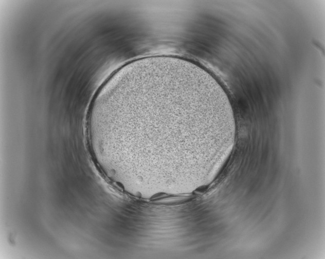 X0000097951423200804211024