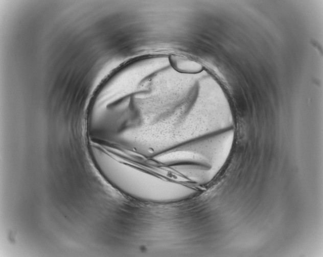 X0000097951424200804211024
