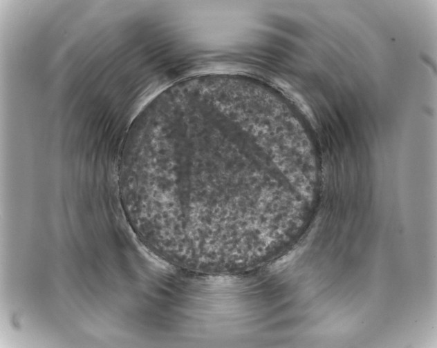 X0000097951425200804211024