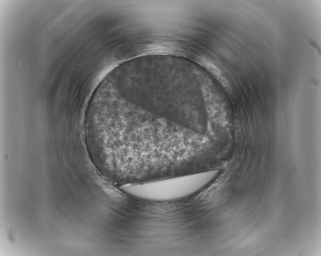 X0000097951427200804211024