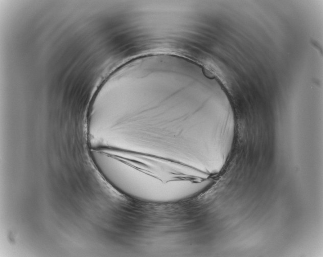X0000097951428200804211024