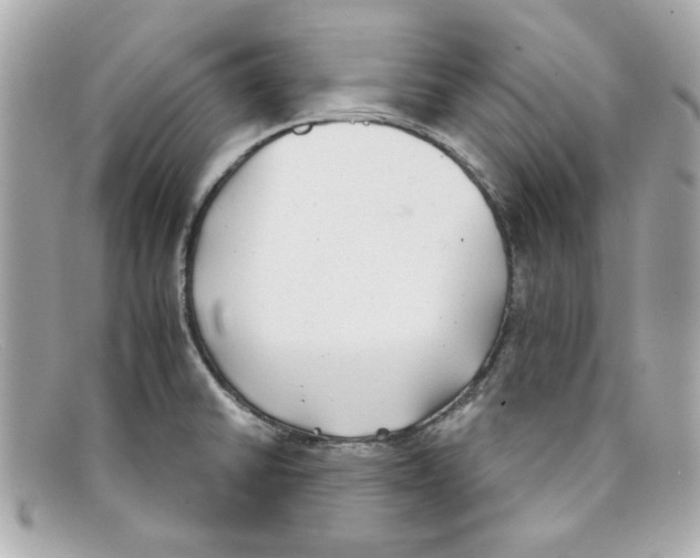 X0000097951430200804211024