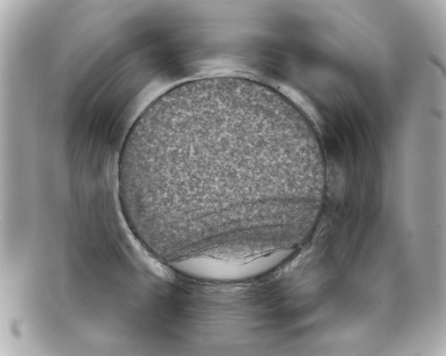 X0000097951431200804211024