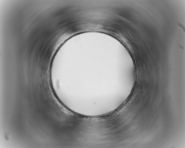 X0000097951432200804211024