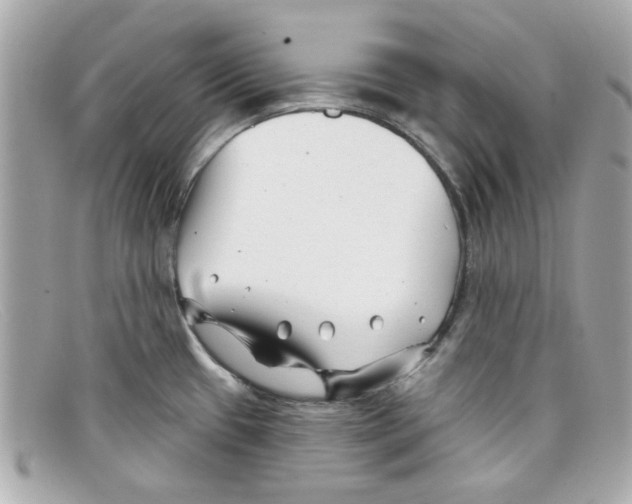 X0000097951433200804211024