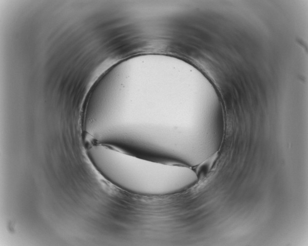 X0000097951434200804211024