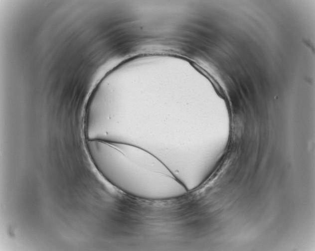 X0000097951437200804211025
