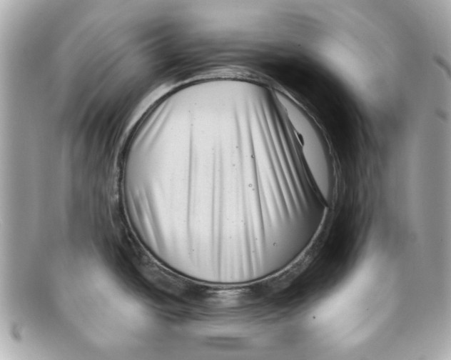 X0000097951438200804211025