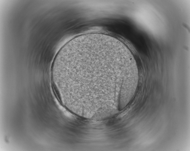 X0000097951439200804211025