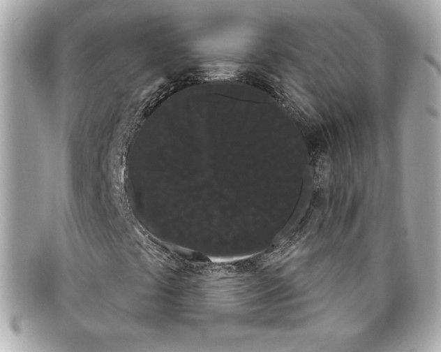 X0000097951441200804211024