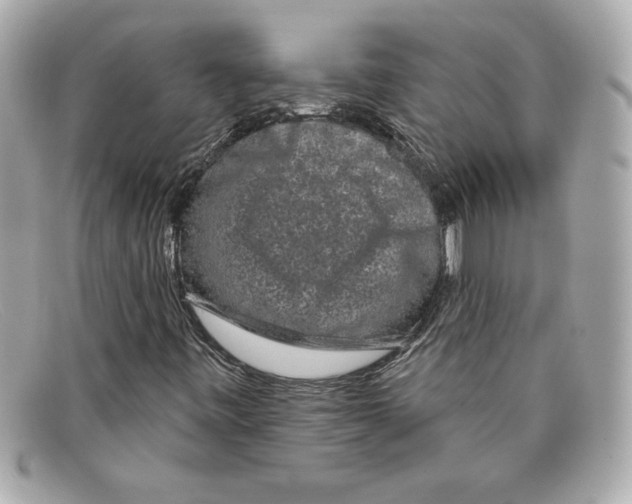 X0000097951443200804211024