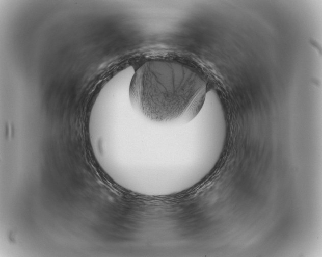 X0000097951445200804211024