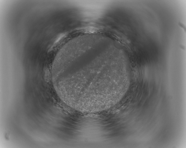 X0000097951446200804211024
