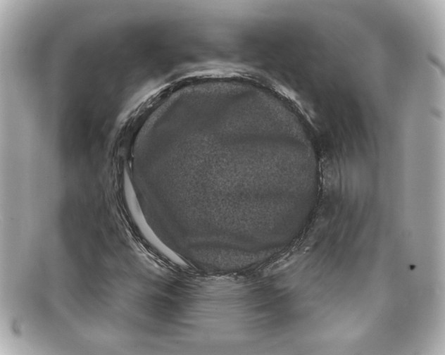 X0000097951448200804211024