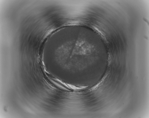 X0000097951449200804211024