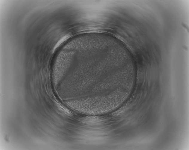 X0000097951450200804211024