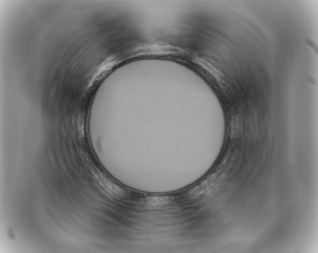 X0000097951451200804211024
