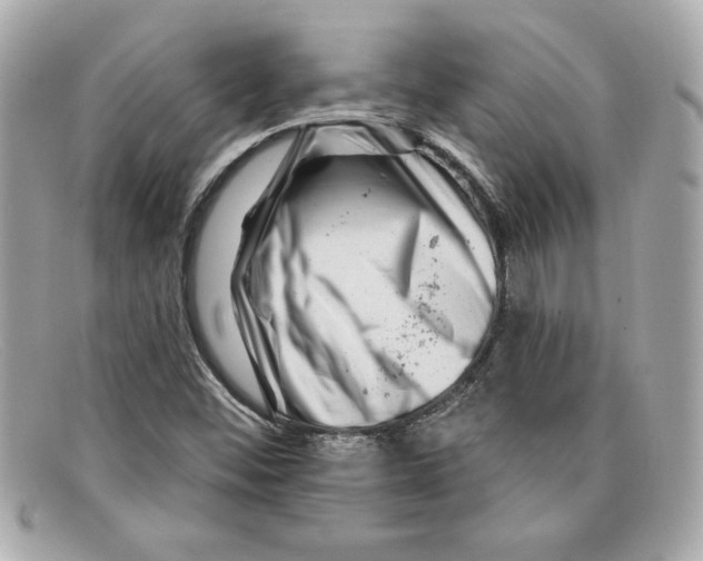 X0000097951452200804211024