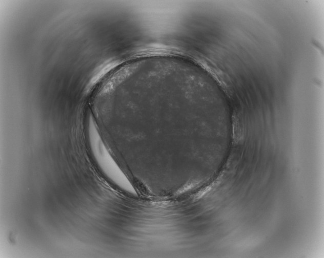 X0000097951453200804211024