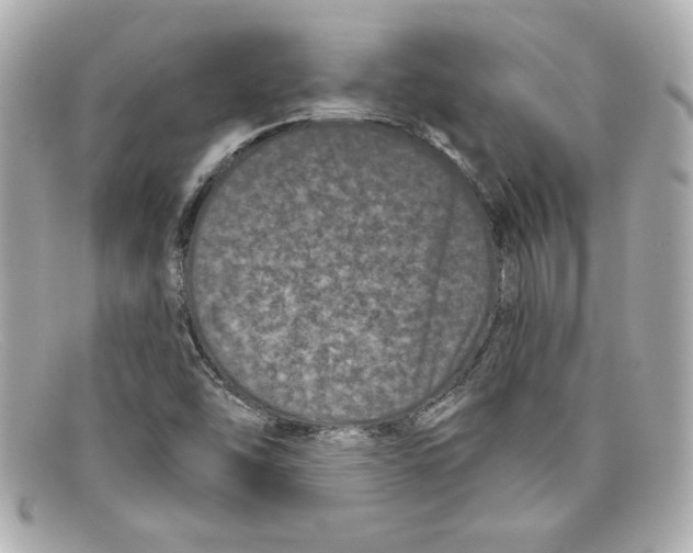 X0000097951454200804211024