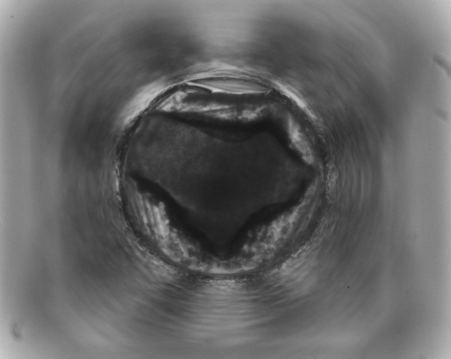 X0000097951455200804211024