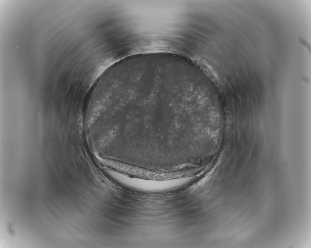 X0000097951457200804211024