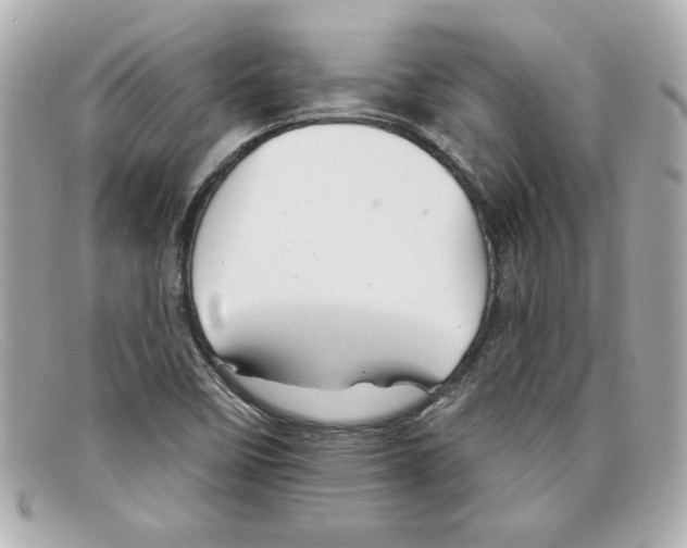 X0000097951458200804211024