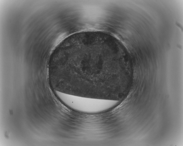 X0000097951459200804211024