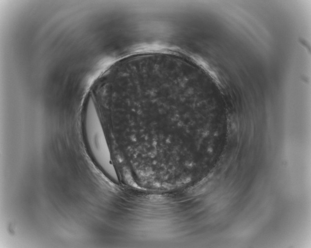 X0000097951463200804211023