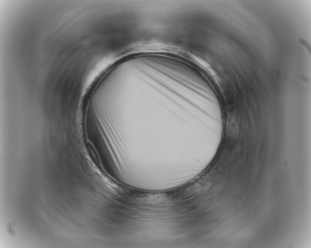 X0000097951464200804211023