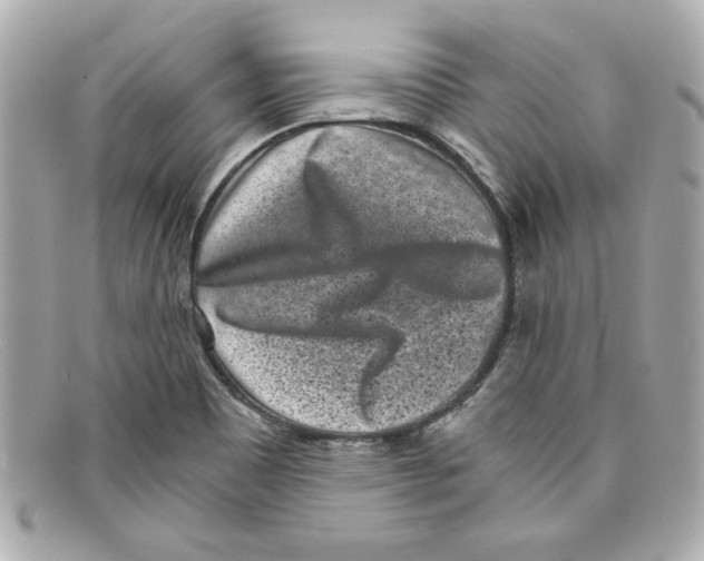 X0000097951465200804211023