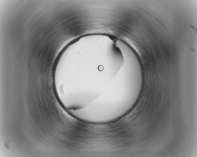 X0000097951468200804211023