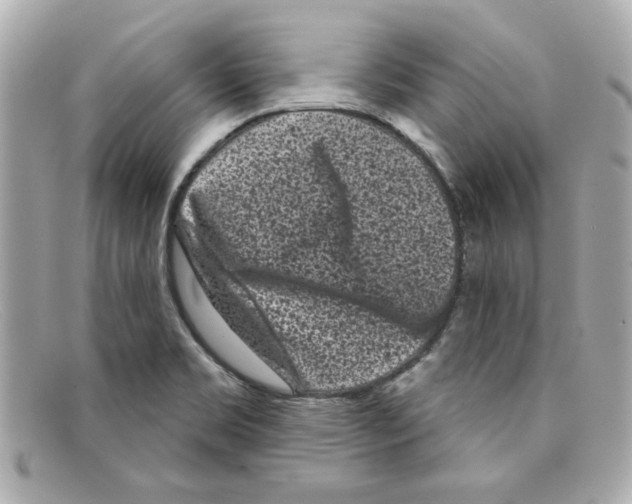 X0000097951469200804211023