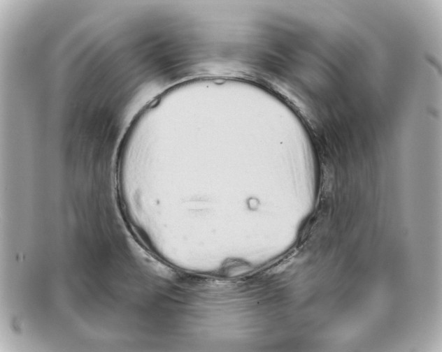 X0000097951471200804211023