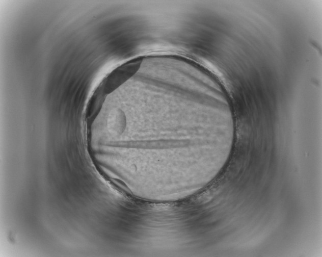 X0000097951472200804211023