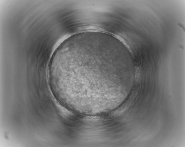 X0000097951474200804211023
