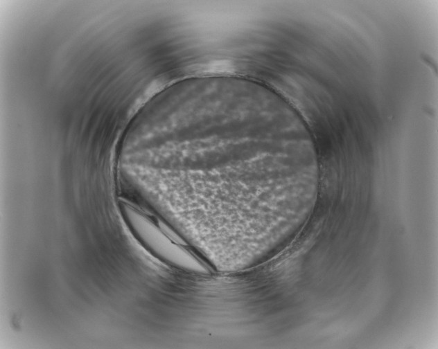 X0000097951475200804211023